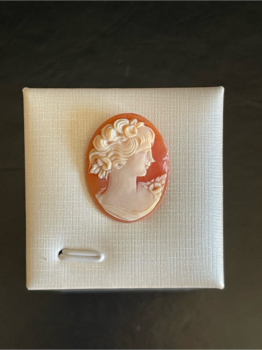Vintage hand carved shell cameo.